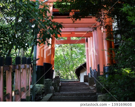 伏見Inari Taisha 伏見Inari Taisha 139169608