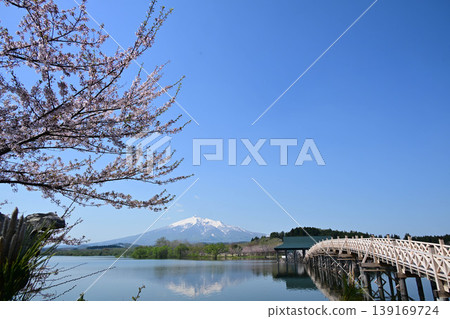 修繕一新的鶴之舞橋、櫻花和岩木山 139169724