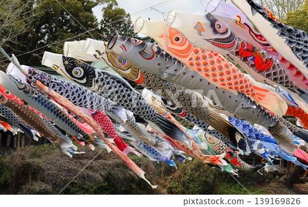 Carp streamer Carp streamer 139169826