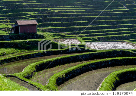 Maruyama Senmaida rice terraces filled with water, Mie Prefecture Maruyama Senmaida rice terraces filled with water, Mie Prefecture 139170074