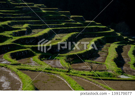Maruyama Senmaida rice terraces filled with water, Mie Prefecture 139170077