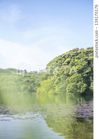 The image of enjoying the fresh greenery of Tanamagaike Pond while cycling. The image of enjoying the fresh greenery of Tanamagaike Pond while cycling. 139170176
