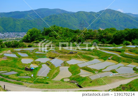 初夏時節的梯田景色 初夏時節的梯田景色 139170214