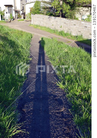 avenues, path, road 139170467