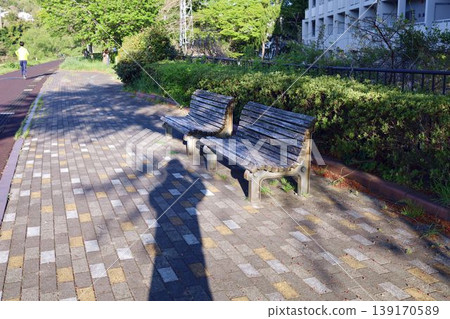 The riverbank in the morning, long shadows 139170589