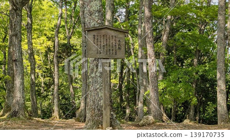 Kotani Castle Ruins, Nagahama City, Shiga Prefecture Kotani Castle Ruins, Nagahama City, Shiga Prefecture 139170735