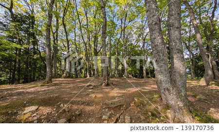 Kotani Castle Ruins, Nagahama City, Shiga Prefecture Kotani Castle Ruins, Nagahama City, Shiga Prefecture 139170736