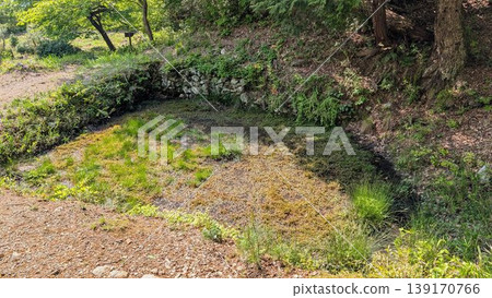 Kodani Castle Ruins, Nagahama City, Shiga Prefecture Kodani Castle Ruins, Nagahama City, Shiga Prefecture 139170766