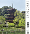 The Rurikoji Five-Storied Pagoda under a cloudy sky after the cherry blossoms have fallen in spring, following the completion of its cypress bark roofing renovation. 139170832