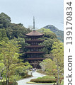 The Rurikoji Five-Storied Pagoda under a cloudy sky after the cherry blossoms have fallen in spring, following the completion of its cypress bark roofing renovation. 139170834