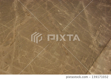 納斯卡風景 139171032