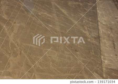 納斯卡風景 139171034