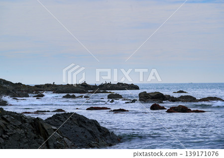 沿海景觀,是海鳥棲息的地方。 沿海景觀,是海鳥棲息的地方。 139171076