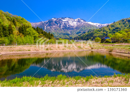 八戒山倒映在稻田中 八戒山倒映在稻田中 139171360