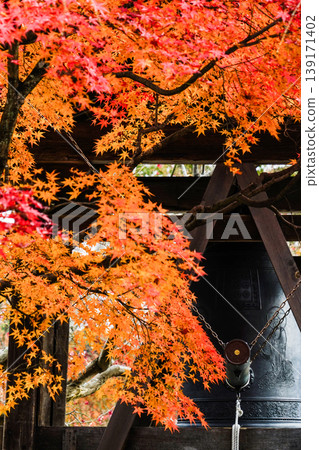 Adashino Nenbutsu-ji Temple: Bell Tower and Autumn Leaves Adashino Nenbutsu-ji Temple: Bell Tower and Autumn Leaves 139171402