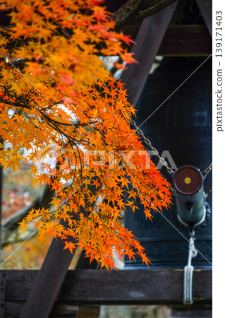 Adashino Nenbutsu-ji Temple: Bell Tower and Autumn Leaves 139171403