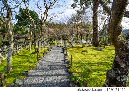 Winter grounds of Adashino Nenbutsu-ji Temple 139171411