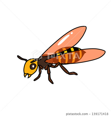 Wasp illustration Wasp illustration 139171418