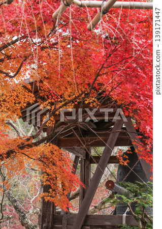 Adashino Nenbutsu-ji Temple: Bell Tower and Autumn Leaves Adashino Nenbutsu-ji Temple: Bell Tower and Autumn Leaves 139171447