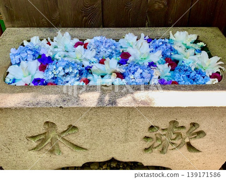 7月的水盆插花（百合花、繡球花、大麗花）<須賀神社/愛知縣岡崎市> 139171586