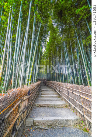 Adashino Nenbutsu-ji Temple, Bamboo Grove Path Adashino Nenbutsu-ji Temple, Bamboo Grove Path 139171682