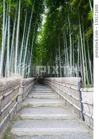 足野念佛寺、竹林小徑 足野念佛寺、竹林小徑 139171688