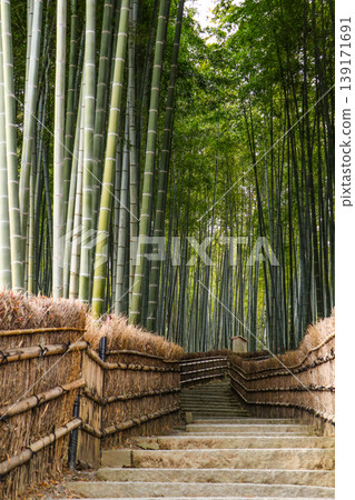 Adashino Nenbutsu-ji Temple, Bamboo Grove Path Adashino Nenbutsu-ji Temple, Bamboo Grove Path 139171691