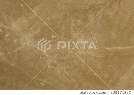Nazca Geoglyph Dog 139171837