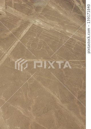 Nazca Lines Parrot Nazca Lines Parrot 139171840
