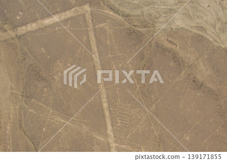 Nasca's land-painting whale Nasca's land-painting whale 139171855