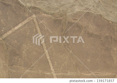 Nasca's land-painting whale Nasca's land-painting whale 139171857