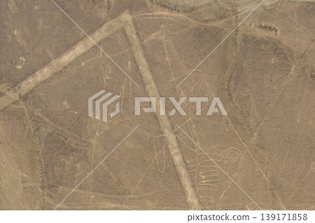 Nasca's land-painting whale Nasca's land-painting whale 139171858