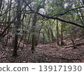 The stillness of the winter forest gives the impression that bears, deer, wild boars, and other animals could emerge at any moment. 139171930