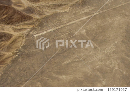 Nasca's landmark hummingbird Nasca's landmark hummingbird 139171937