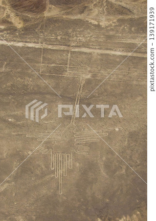 Nasca's landmark hummingbird Nasca's landmark hummingbird 139171939