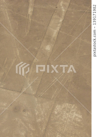 Nazca Lines Flowers 139171982