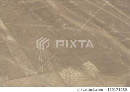Nazca Lines Flowers 139171986