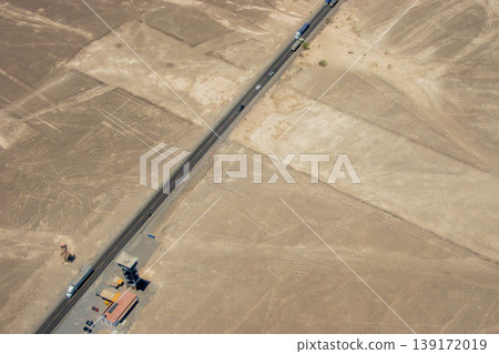 Nazca Lines: Tree and Lizard 139172019