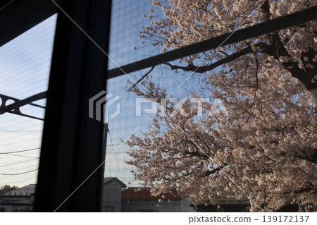 Cherry trees visible from the apartment 139172137