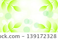 Illustration of sunlight filtering through trees and bokeh effect on fresh green leaves - Light background material 139172328