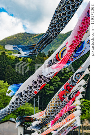 廣島市朝北區白木山橋鯉魚擬餌 廣島市朝北區白木山橋鯉魚擬餌 139172368