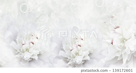 Holiday card with peony flowers. Floral background. Close-up. Nature. 139172601