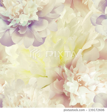 Seamless floral background. Flowers peonies and petals peonies. Close up. Seamless floral background. Flowers peonies and petals peonies. Close up. 139172606