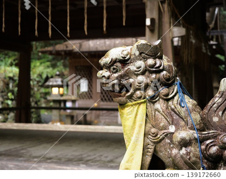 貴船神社、小犬（守護獅子狗）、雨 139172660