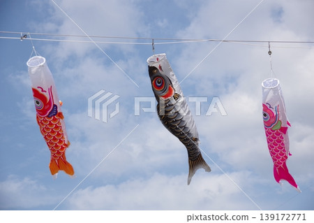 鯉魚飄帶游泳在藍天 139172771