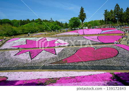Chichibu City, Hitsujiyama Park, foot of Mount Buko, Shibazakura Hill in Spring 139172843