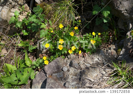 木島蟲郎 木島蟲郎 139172858