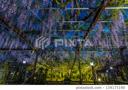 Kuroki no Oto Kuroki no Oto 139173190