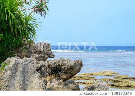 沖繩的岩礁和淺水區，展現出清澈見底的海洋美景。 139173349
