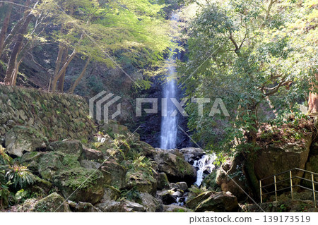 Yoro Falls 2, Yoro-cho, Yoro-gun, Gifu Prefecture, April 2025 Yoro Falls 2, Yoro-cho, Yoro-gun, Gifu Prefecture, April 2025 139173519